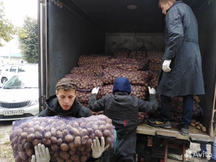 Бригада Разнорабочих