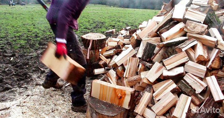 Дрова березовые