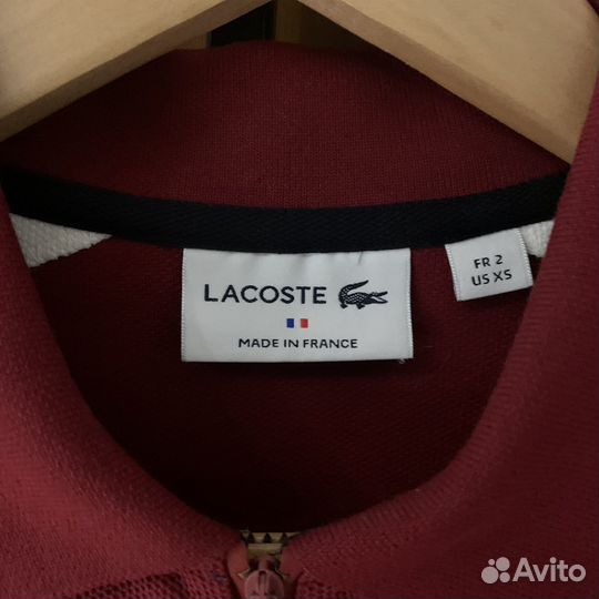 Lacoste polo