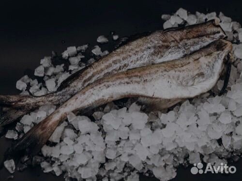 Рыба и морепродукты