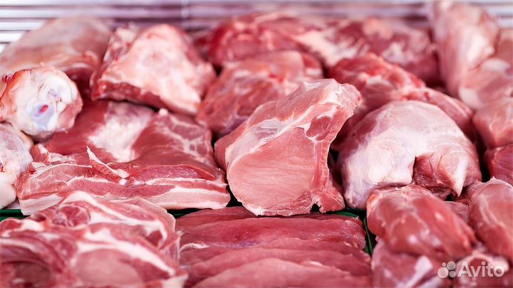 Свежее мясо свинина
