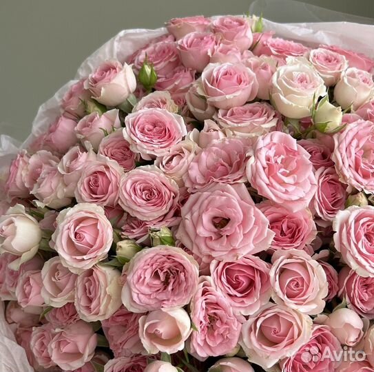 Роскошь кустовых роз