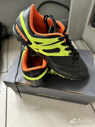 Сороконожки