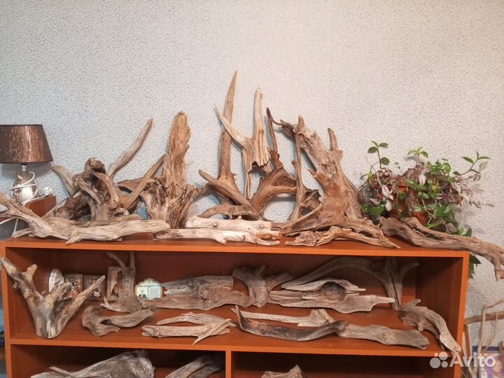 Коряги для аквариума Дерево Ольха и Ива