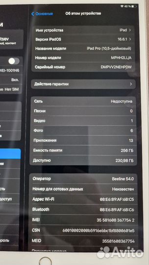 iPad pro 10.5 256gb