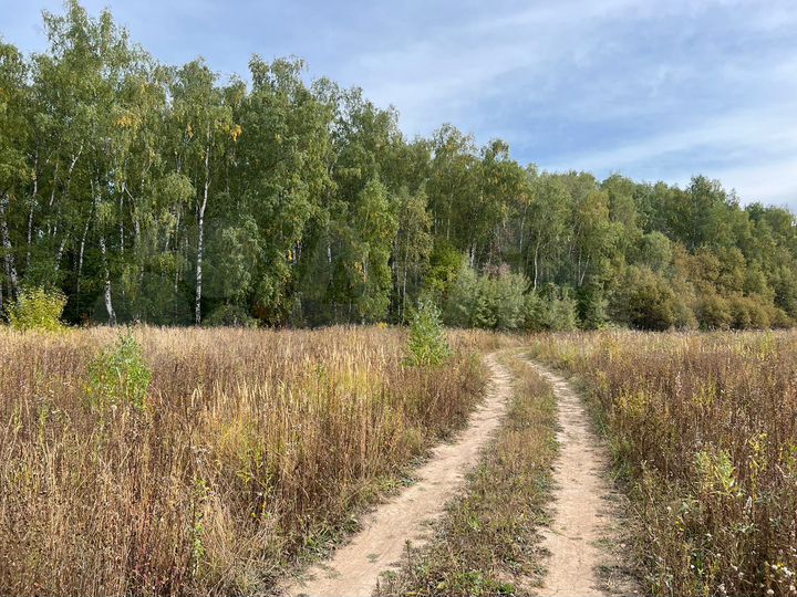 Участок 10 сот. (ИЖС)