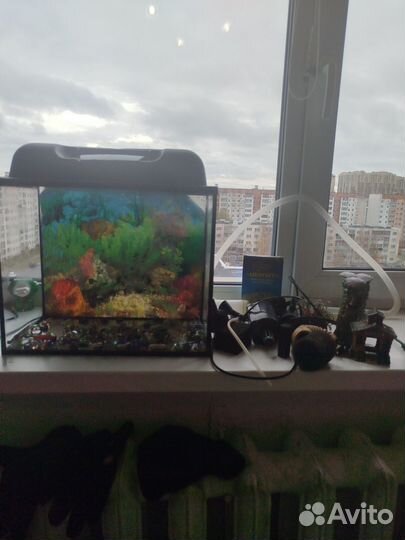 Украшение для аквариума