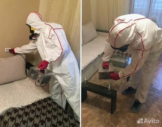 Уничтожение клопов тараканов плесени запахов