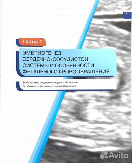 Хобби и отдых