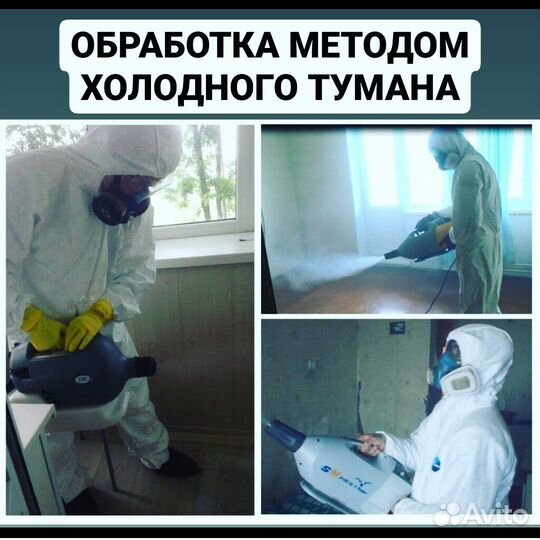 Дезинфекция уничтожение клопов тараканов муравьёв