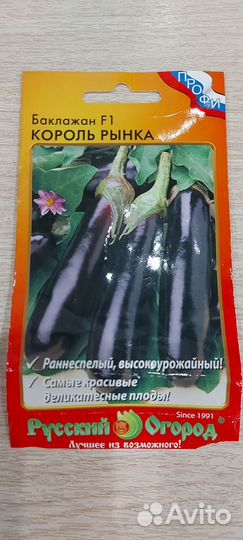 Рассада баклажан