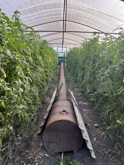 Дом 60 м² на участке 19 сот.