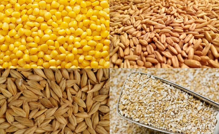 Комбикорма,зерно