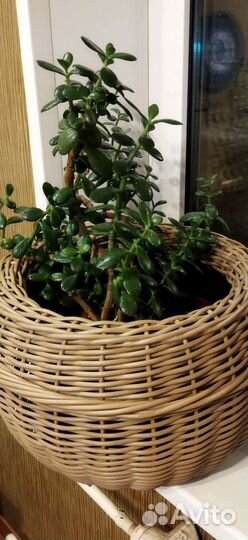 Кашпо напольное из ротанга