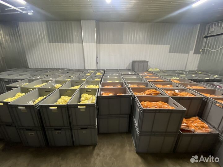 Начальник производства