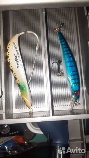 Воблер, поппер, незацеляйка, блесна, мандула