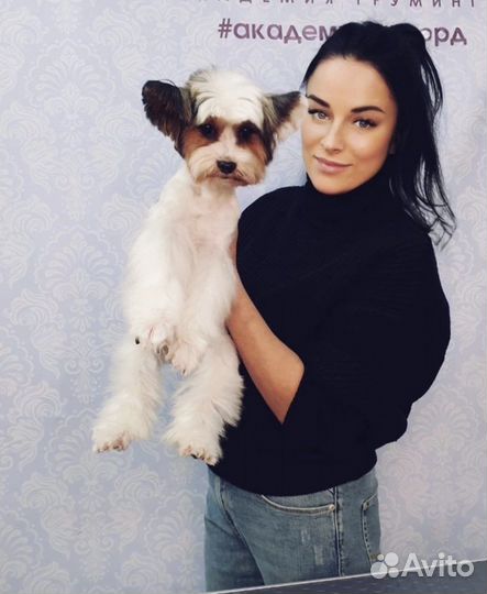 Услуги грумера