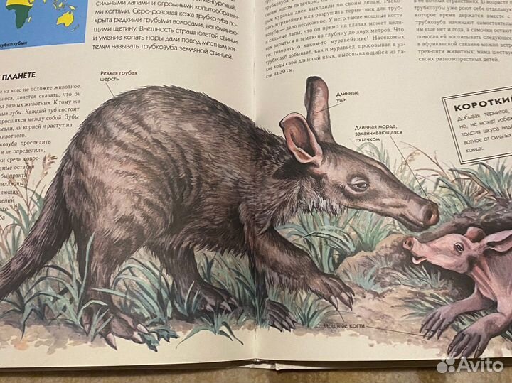 Детская энциклопедия, животные и насекомые эксмо