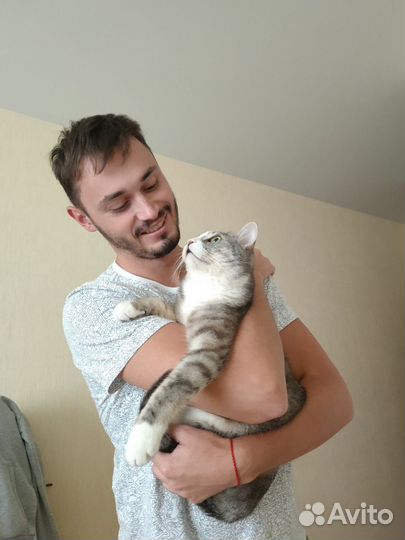 Котоняня кэтситтер