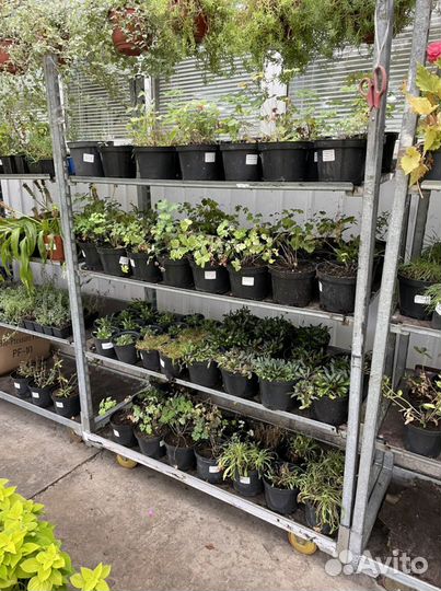 Евро тролли - Телеги для цветов