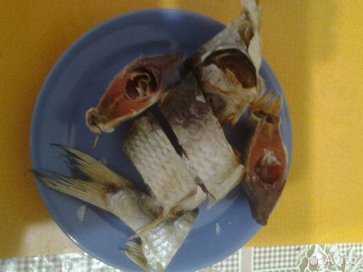 Тарань азовская судак