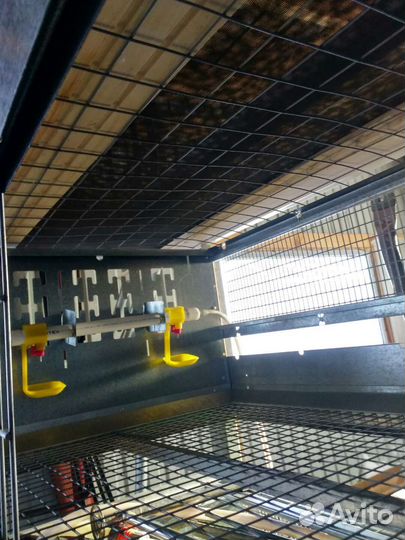 Брудер для броллеров