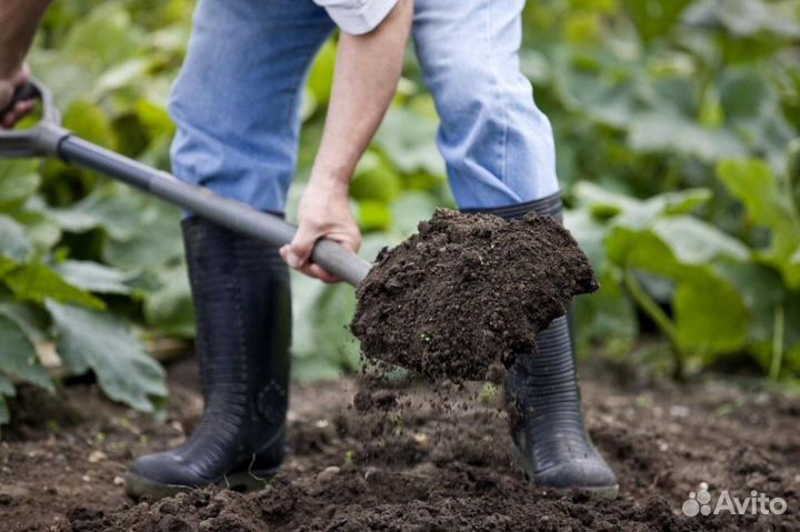 Чернозём (мягкий пушистый )