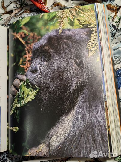 Книга о природе, Reader's Digest (раритет)