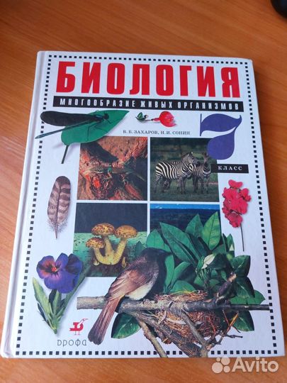 Энциклопедия для детей