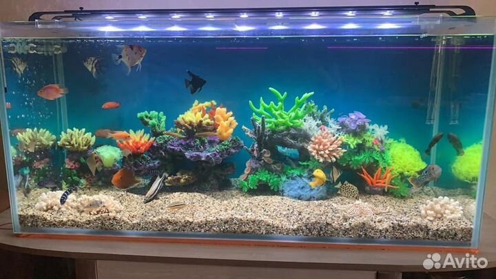 Аквариум с оборудованием и рыбками