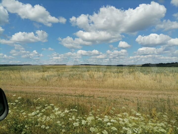 Участок 350 га (СНТ, ДНП)