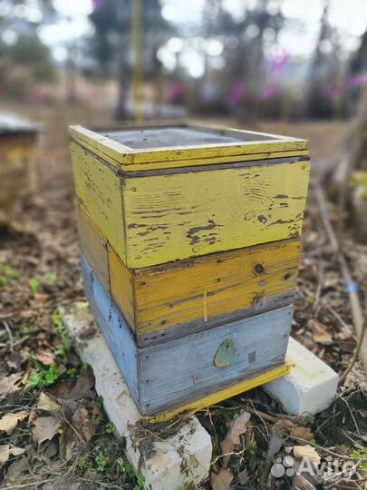 Улей для пчел домик