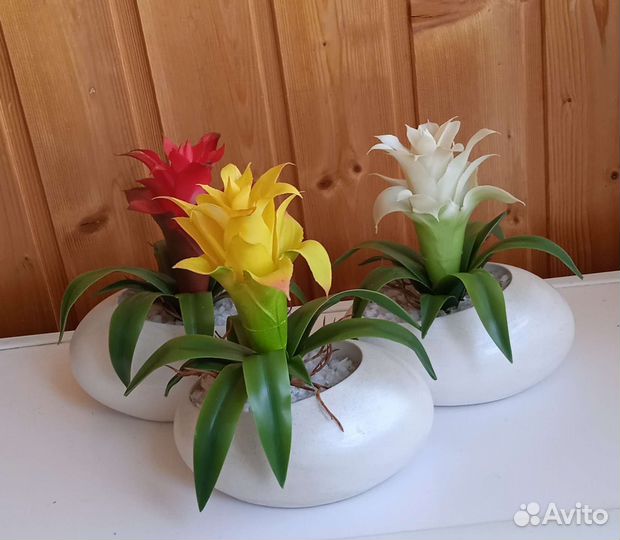 Искусственные растения