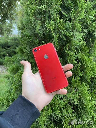 iPhone 7 128gb хороший