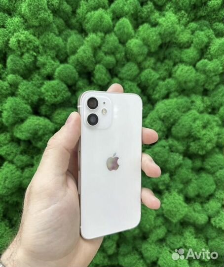 iPhone 12 mini, 256 ГБ