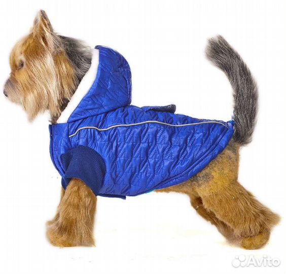 Одежда для собак мелких пород