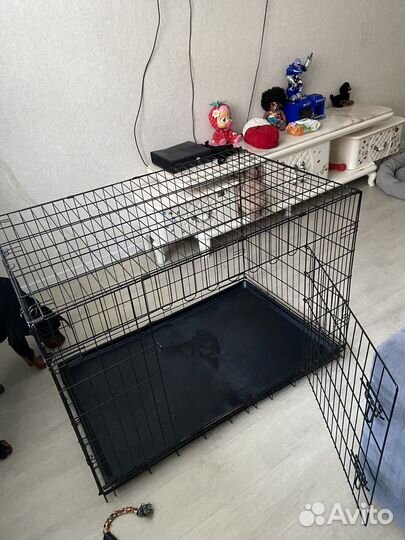 Клетка для собак 5-ка бу