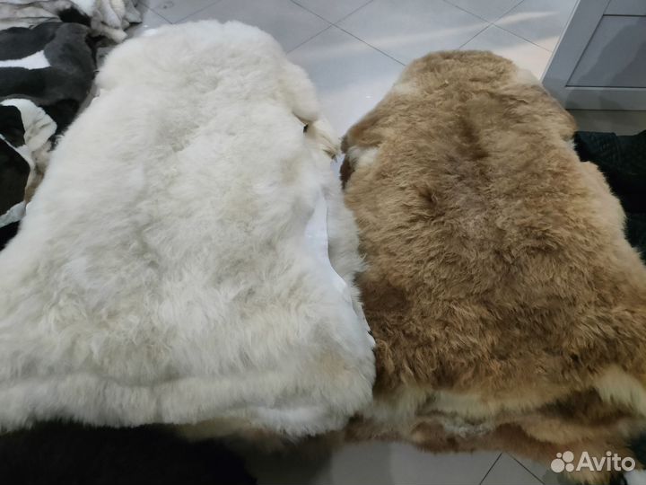 Овечья шкура