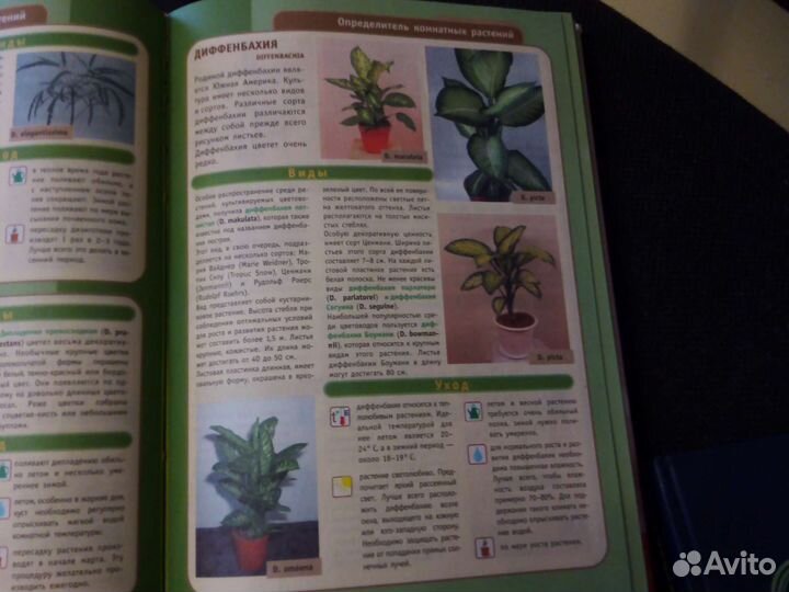 Всё о цветах, рецепты