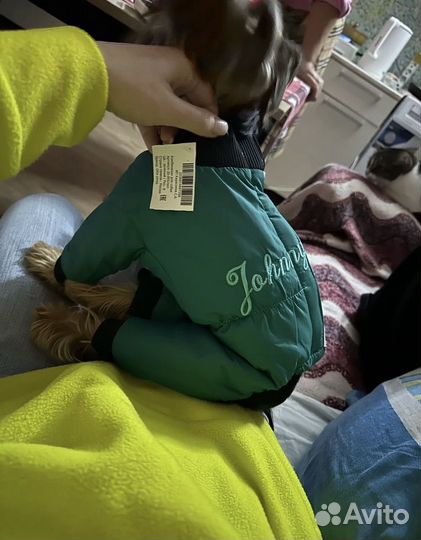 Одежда для собак мелких пород