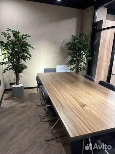 Растения комнатные крупные для офиса