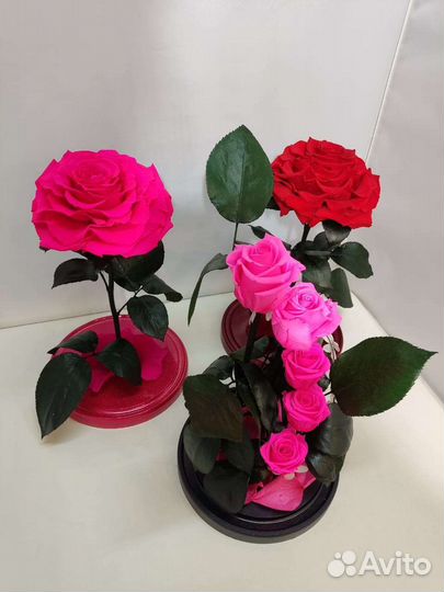 Роза в колбе оптом