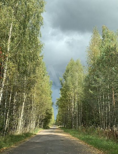 Участок 100 сот. (СНТ, ДНП)