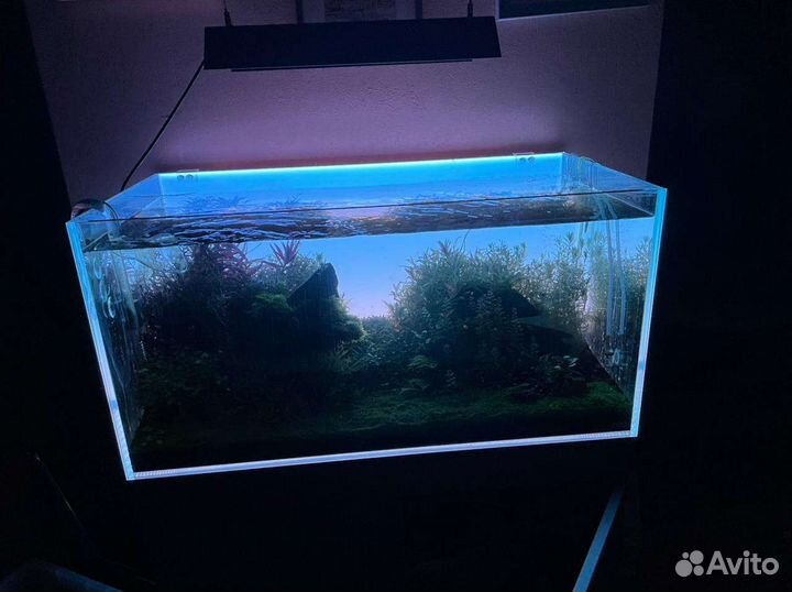 Задний фон для аквариума. Панель с подсветкой