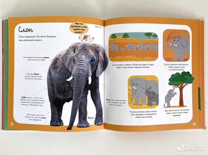 Комплект детских книг clever с окошками