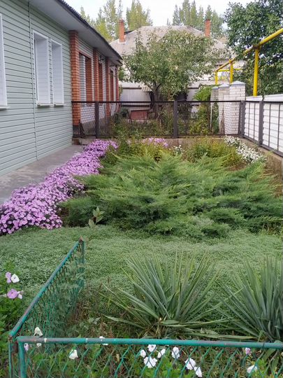 Дом 80 м² на участке 6 сот.