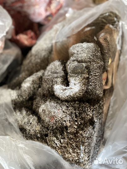 Рубец говяжий для собак(животных)