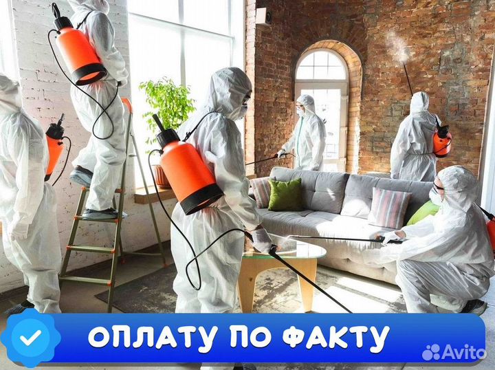 Уничтожение тараканов, обработка от клопов