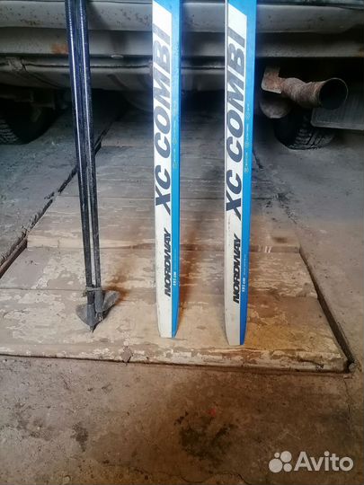 Беговые лыжи