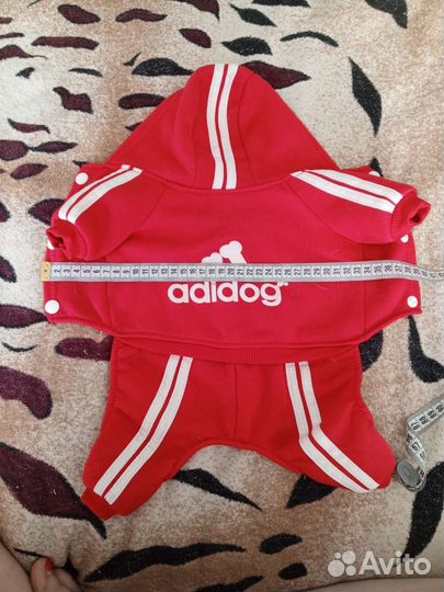 Одежда для собак мелких пород